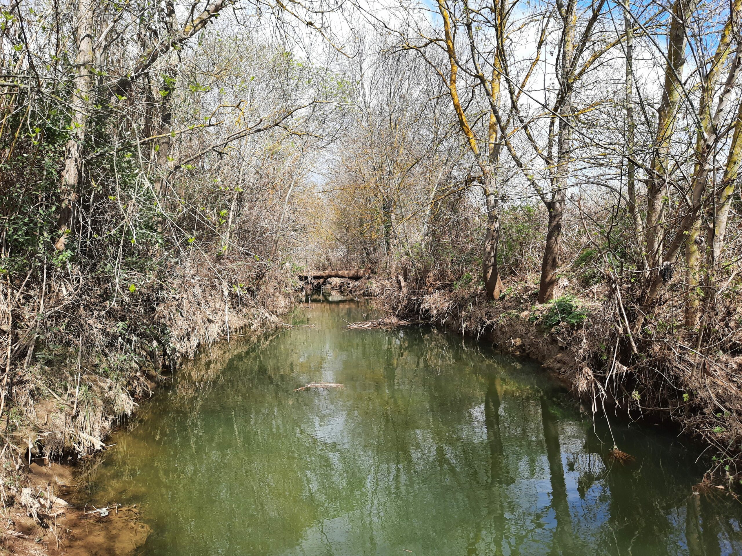 agglo hérault méditerranée gemapi vias portiragnes entretien cours d'eau fleuve orb libron