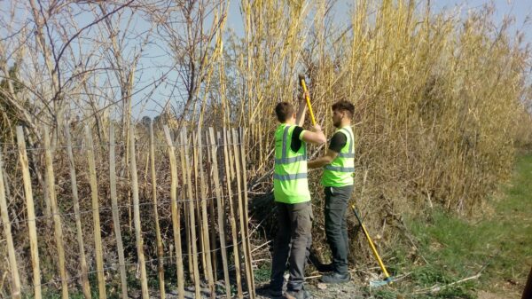 Agglo Hérault Méditerranée chantier nature pédagogique lycée condamine Pézenas biodiversité travaux partenariat