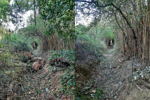 agglo hérault méditerranée gemapi vias portiragnes entretien cours d'eau fleuve orb libron