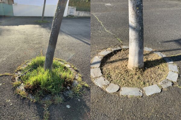 agglo hérault méditerranée terrain espaces verts pézenas desherbage nettoyage propreté voirie