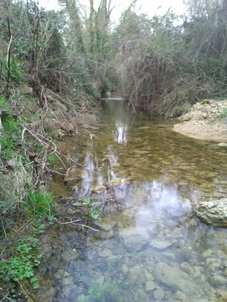 Agglo Hérault Méditerranée études 2022 gemapi ensigaud digues montagnac florensac cazouls-d'hérault saint-thibéry