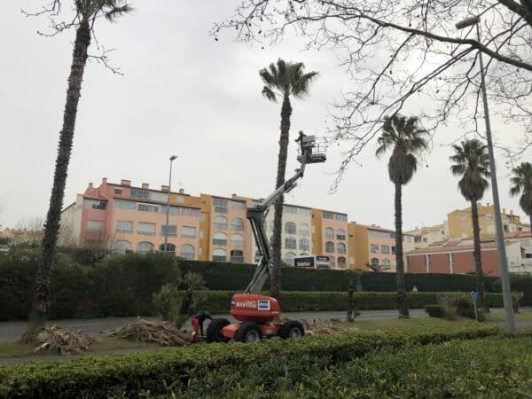 Agglo Hérault Méditerranée intervention espaces verts agents terrain quotidien entretien taille palmiers arbres lauriers Agde Cap d'Agde