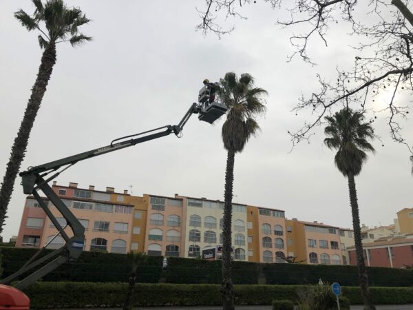 Agglo Hérault Méditerranée intervention espaces verts agents terrain quotidien entretien taille palmiers arbres lauriers Agde Cap d'Agde