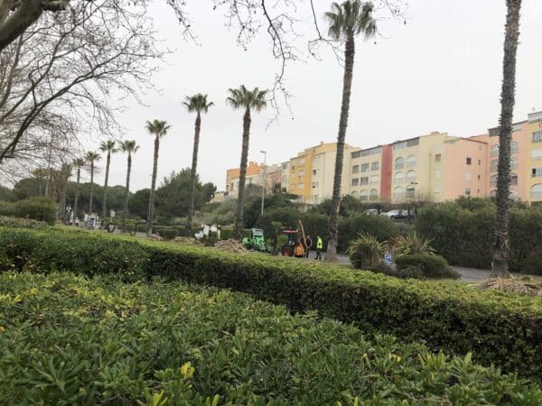 Agglo Hérault Méditerranée intervention espaces verts agents terrain quotidien entretien taille palmiers arbres lauriers Agde Cap d'Agde