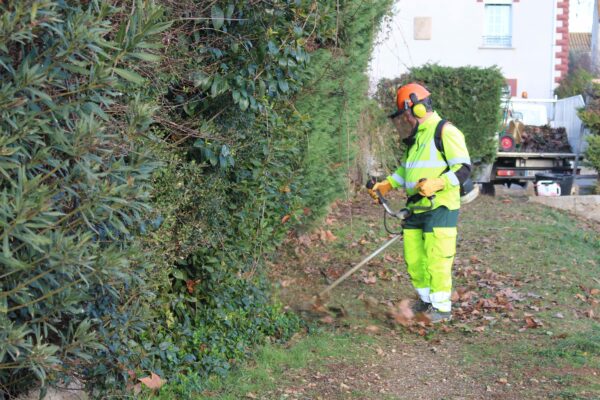 agglo Hérault méditerranée terrain espaces verts adissan taille haies stade cyprès arbres