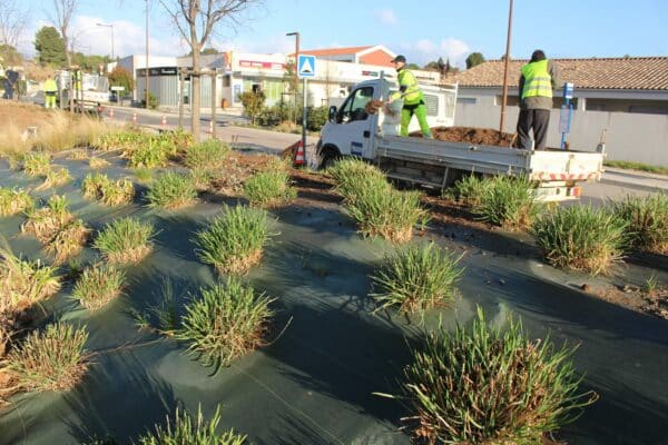 agglo hérault méditerranée terrain espaces verts paillage tourbes