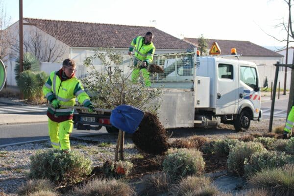 agglo Hérault méditerranée terrain espaces verts paillage tourbes