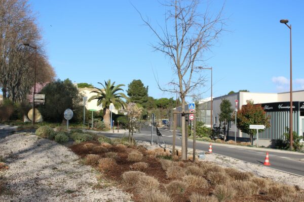 agglo hérault méditerranée terrain espaces verts paillage tourbes