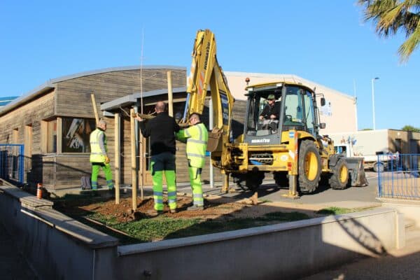 agglo hérault méditerranée plantation arbres pinet école groupe scolaire paillage espaces verts