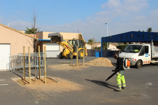 agglo hérault méditerranée plantation arbres pinet école groupe scolaire paillage espaces verts