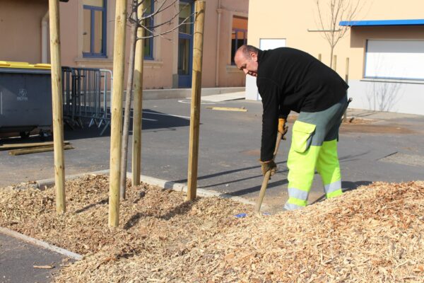 agglo hérault méditerranée plantation arbres pinet école groupe scolaire paillage espaces verts