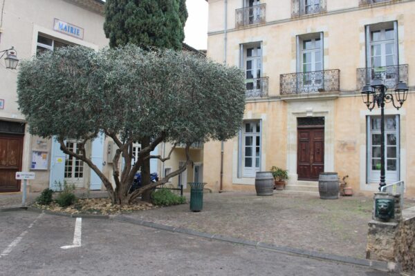 Agglo Hérault Méditerranée espaces verts taille entretien nizas tourbes pomérols