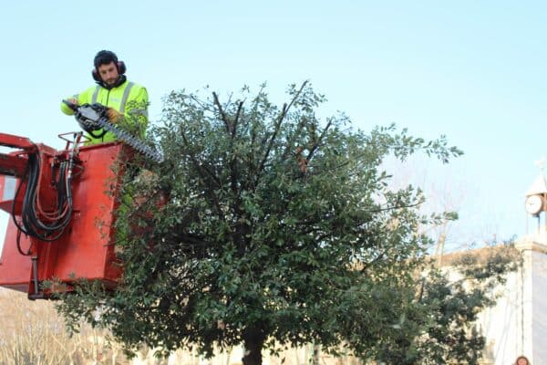 Agglo Hérault Méditerranée espaces verts taille entretien nizas tourbes pomérols