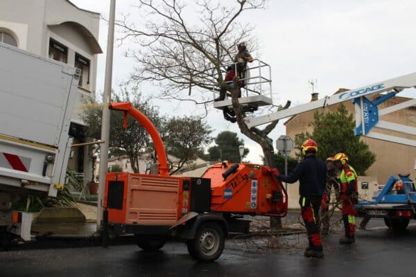 Agglo Hérault Méditerranée intervention espaces verts agents terrain quotidien entretien taille palmiers arbres lauriers Agde Cap d'Agde