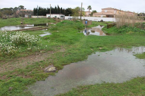 Agglo Hérault Méditerranée chantier nature pédagogique lycée condamine Pézenas biodiversité travaux partenariat