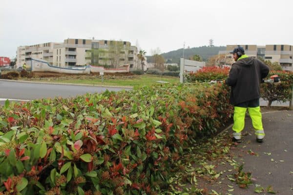 Agglo Hérault Méditerranée intervention espaces verts agents terrain quotidien entretien taille palmiers arbres lauriers Agde Cap d'Agde