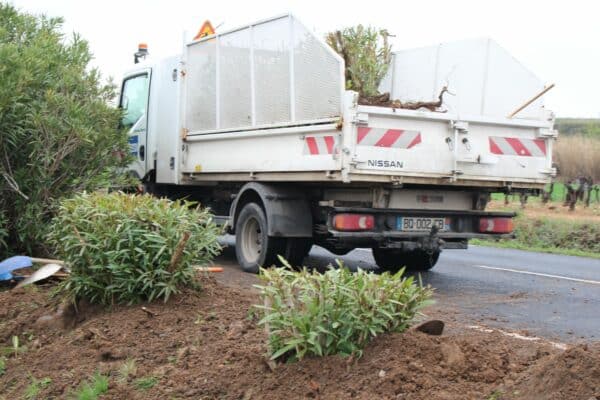 Agglo Hérault Méditerranée entretien taille lauriers roses caux espaces verts propreté voirie