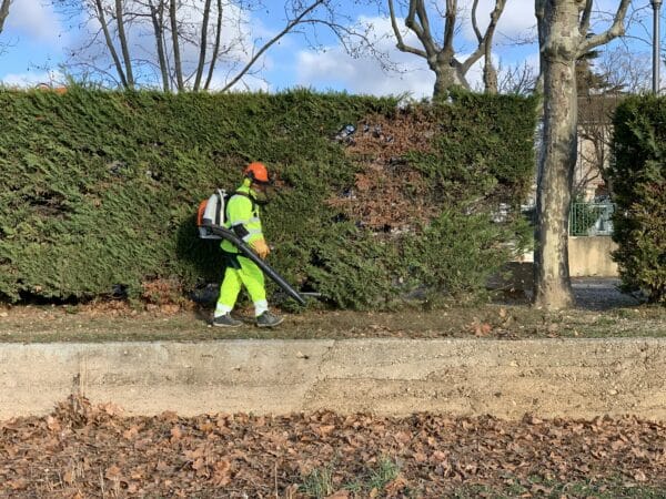 agglo Hérault méditerranée terrain espaces verts adissan taille haies stade cyprès arbres