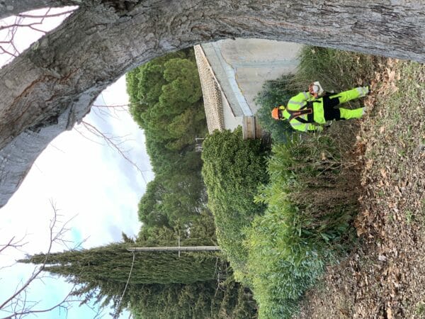 Agglo Hérault Méditerranée intervention espaces verts agents terrain tourbes nettoiement fossé eau pluie évacuation feuilles