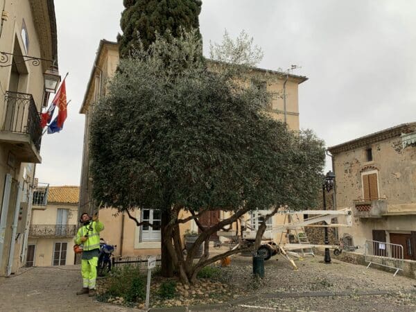 Agglo Hérault Méditerranée espaces verts taille entretien nizas tourbes pomérols