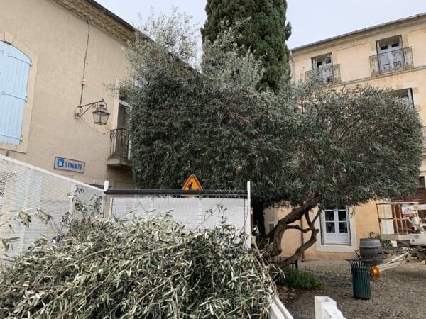 Agglo Hérault Méditerranée espaces verts taille entretien nizas tourbes pomérols