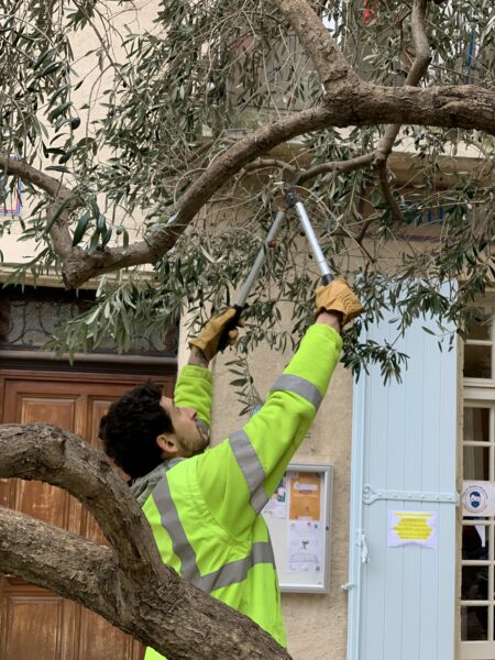 Agglo Hérault Méditerranée espaces verts taille entretien nizas tourbes pomérols