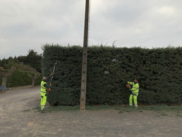 Agglo Hérault Méditerranée espaces verts taille entretien nizas tourbes pomérols