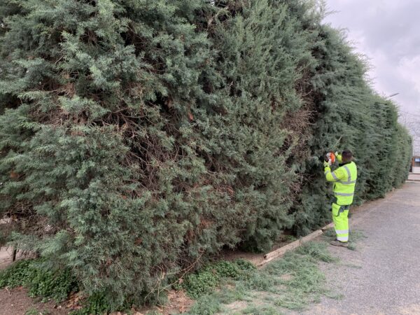 Agglo Hérault Méditerranée espaces verts taille entretien nizas tourbes pomérols