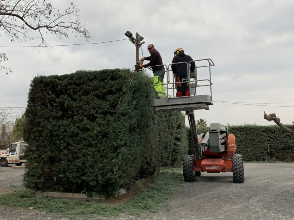 Agglo Hérault Méditerranée espaces verts taille entretien nizas tourbes pomérols