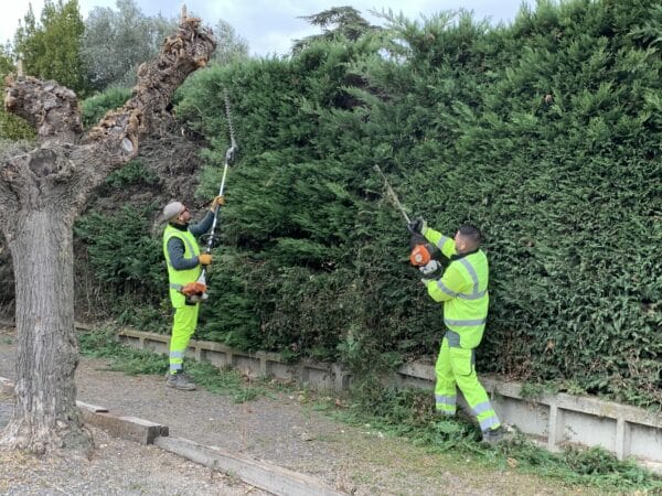 Agglo Hérault Méditerranée espaces verts taille entretien nizas tourbes pomérols