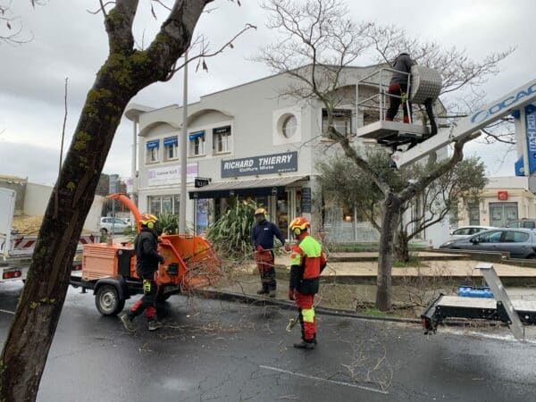 Agglo Hérault Méditerranée intervention espaces verts agents terrain quotidien entretien taille palmiers arbres lauriers Agde Cap d'Agde