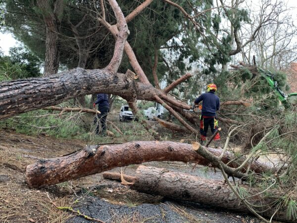 agglo hérault méditerranée interventions pluies inondations gemapi espaces verts ruraux patrimoine arboré agde florensac cazouls d'hérault cap d'agde