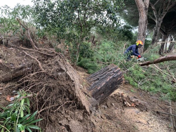 agglo hérault méditerranée interventions pluies inondations gemapi espaces verts ruraux patrimoine arboré agde florensac cazouls d'hérault cap d'agde