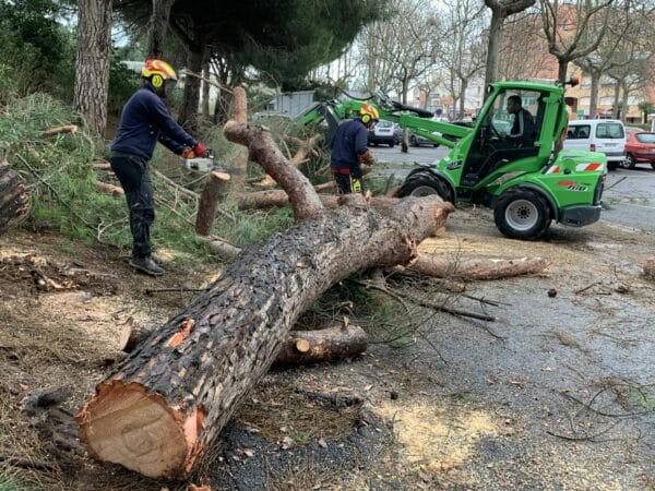 agglo hérault méditerranée interventions pluies inondations gemapi espaces verts ruraux patrimoine arboré agde florensac cazouls d'hérault cap d'agde