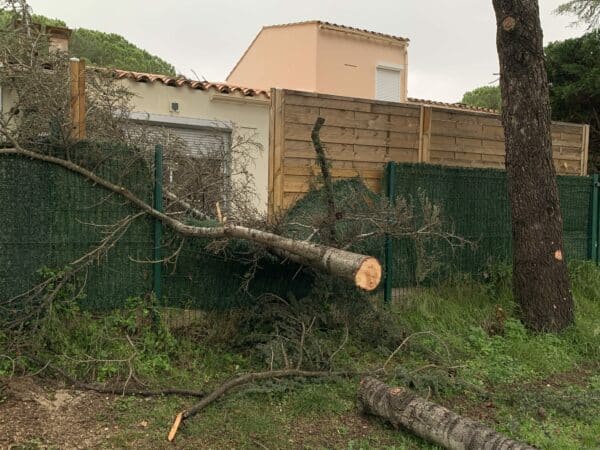 agglo hérault méditerranée interventions pluies inondations gemapi espaces verts ruraux patrimoine arboré agde florensac cazouls d'hérault cap d'agde