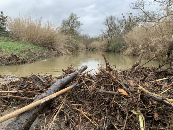 agglo hérault méditerranée interventions pluies inondations gemapi espaces verts ruraux patrimoine arboré agde florensac cazouls d'hérault cap d'agde