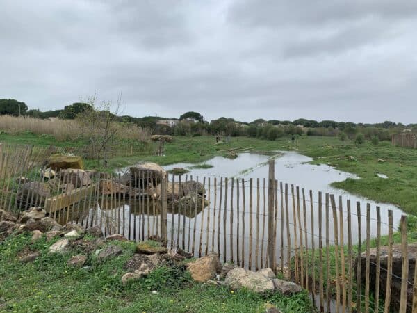 Agglo Hérault Méditerranée chantier nature pédagogique lycée condamine Pézenas biodiversité travaux partenariat