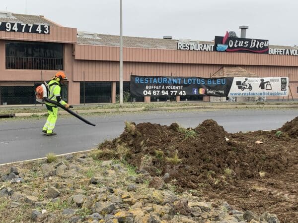 Agglo Hérault Méditerranée intervention espaces verts agents terrain quotidien entretien taille palmiers arbres lauriers Agde Cap d'Agde