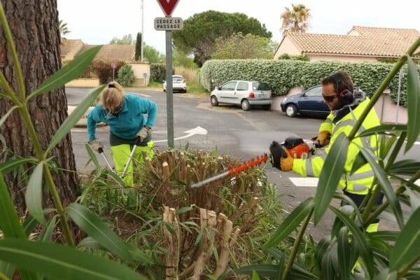 Agglo Hérault Méditerranée espaces verts taille entretien pézenas lauriers roses bruleur gaz herbe