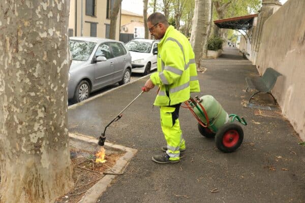 Agglo Hérault Méditerranée espaces verts taille entretien pézenas lauriers roses bruleur gaz herbe