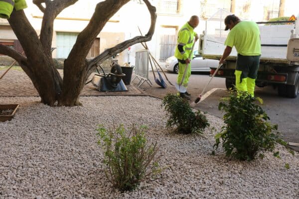 Agglo Hérault Méditerranée espaces verts taille entretien nizas place de la mairie olivier cyprès gravier blanc