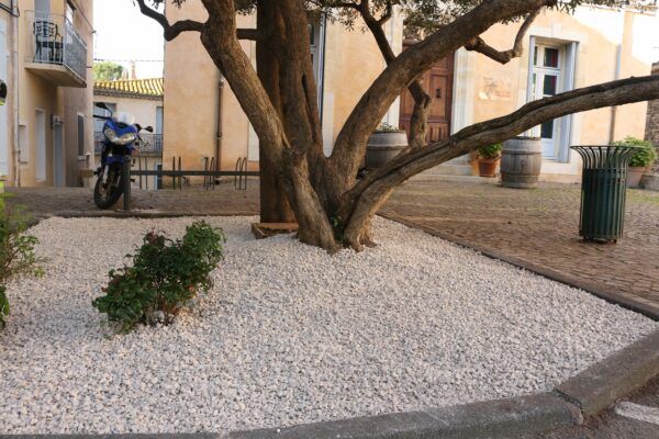 Agglo Hérault Méditerranée espaces verts taille entretien nizas place de la mairie olivier cyprès gravier blanc