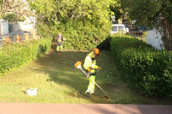 Agglo Hérault Méditerranée espaces verts taille entretien école interventions pézenas