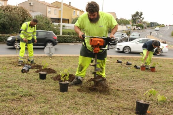 Agglo Hérault Méditerranée espaces verts taille entretien cap d'agde agde grau rond point plantations