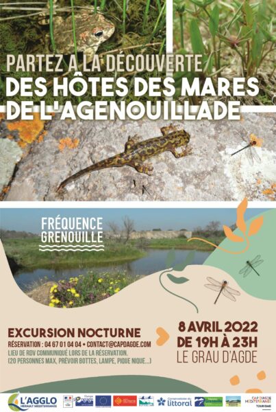 Agglo Hérault Méditerranée animation biodiversité environnement fréquence grenouille excursion nature natura2000
