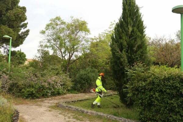 Agglo Hérault Méditerranée espaces verts taille entretien jardin botanique arboretum figue nézignan l'évêque