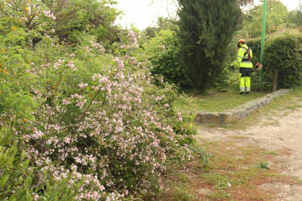 Agglo Hérault Méditerranée espaces verts taille entretien jardin botanique arboretum figue nézignan l'évêque