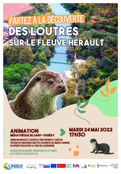 Agglo Hérault Méditerranée animation loutre fleuve hérault environnement biodiversité nature médiathèque saint thibery