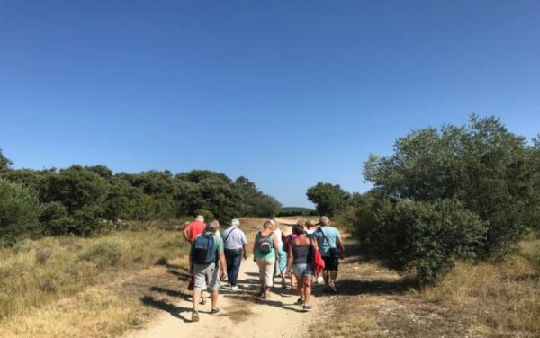 agglo hérault méditerranée balade sorties découverte ville village tourisme nizas