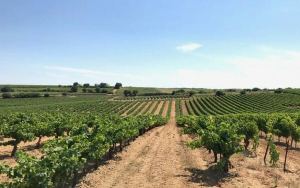 agglo hérault méditerranée balade sorties découverte ville village tourisme nizas